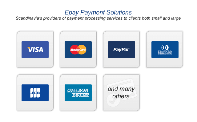 Scandinavia's leader of online payment service