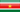 Surinamese domain names - .sr