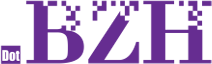 Geo Culture domain names - .bzh