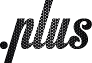 Business Entity domain names - .plus