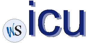 .icu