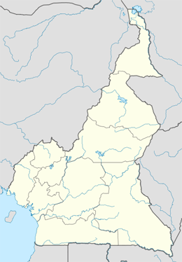 domain names in cameroon