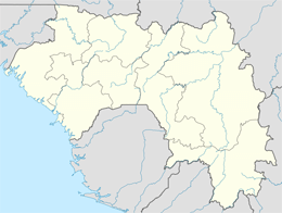 domain names in guinea