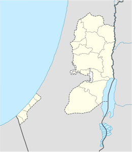 domain names in palestine