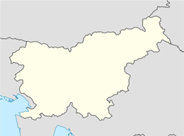 domain names in slovenia