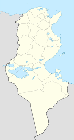 domain names in tunisia